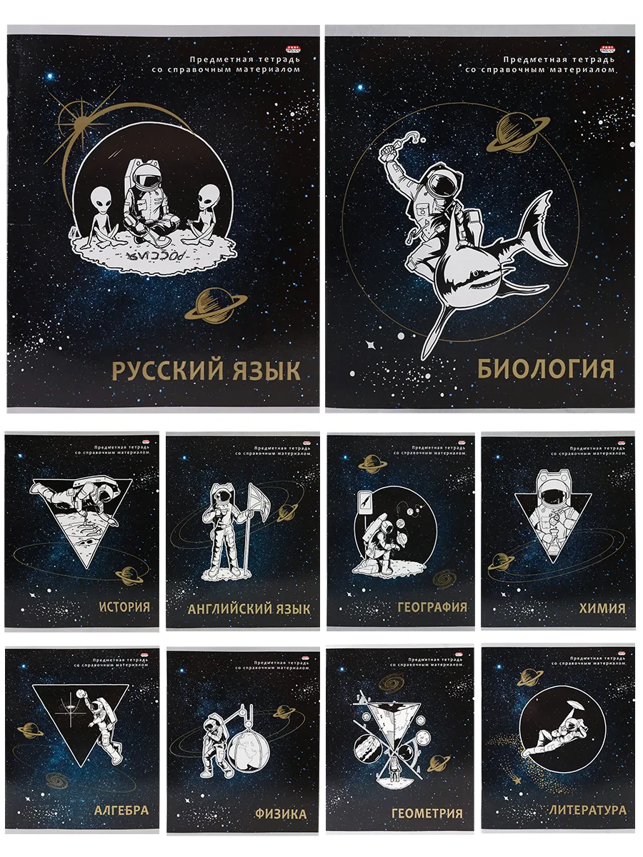 

Комплект предметных тетрадей Проф-Пресс ТП-02/48-1013, ТП-02/48-1013