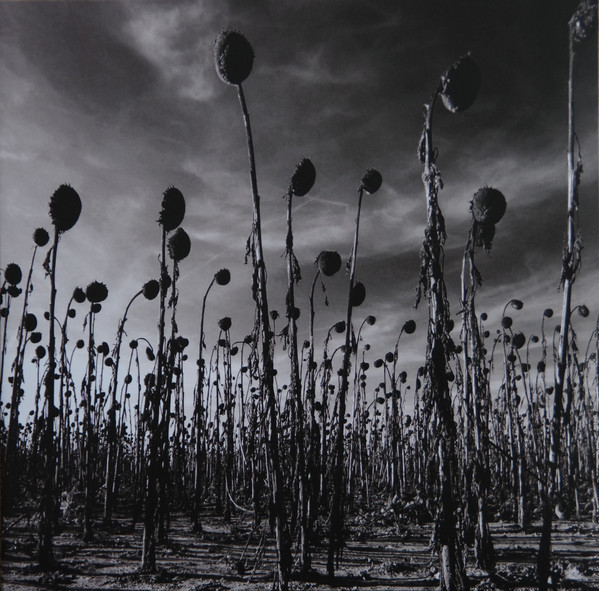 Dead Can Dance - Anastasis (2LP)