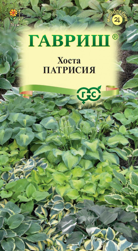 

Семена хоста Патрисия Гавриш 10003794-1 1 уп.