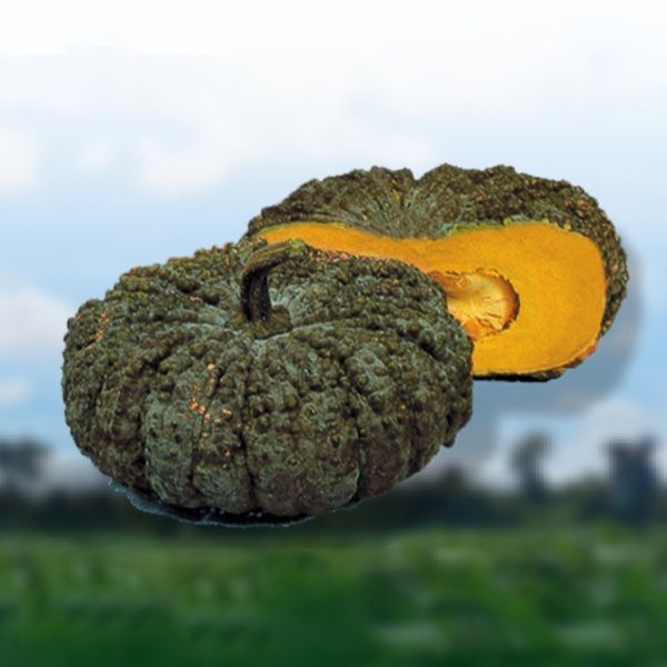 

Сримуанг 16, 1-650-097