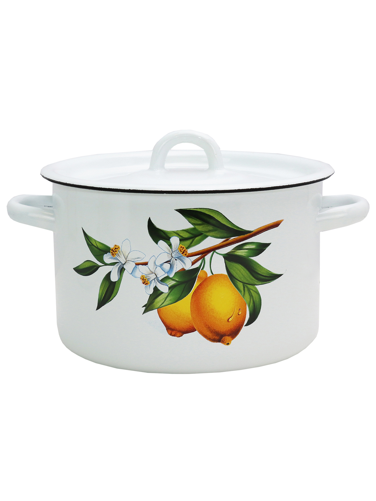 

Кастрюля эмалированная Лимоны, с крышкой, 3 л, Белый