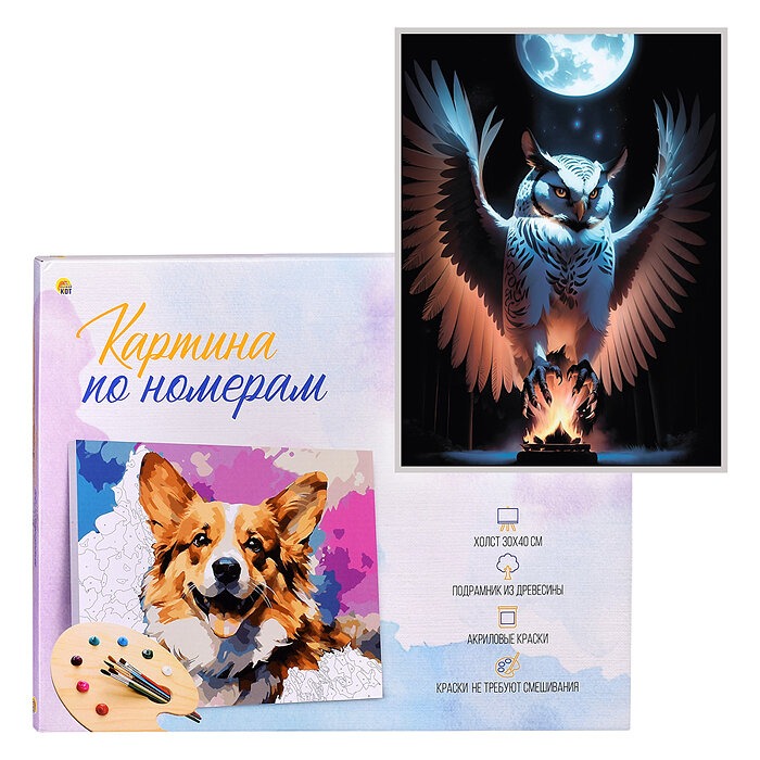 

Холст с красками 30х40 по номерам. Ночной полет в коробке 30 цв.