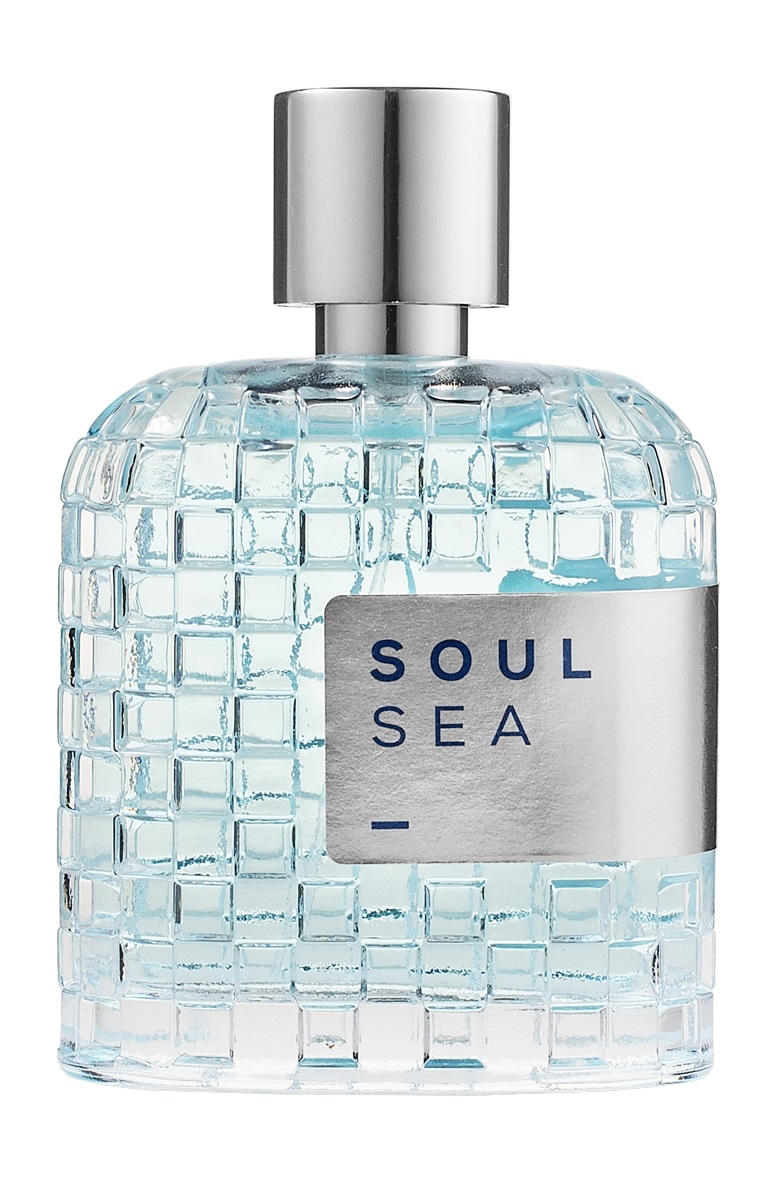 Парфюмерная вода LPDO Soul Sea Eau de Parfum, 100мл плед palermo 140х200см 15s soul дым бел дым шерсть 20% пан 40% пэ 40%