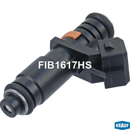 Форсунка бензиновая Krauf fib1617hs