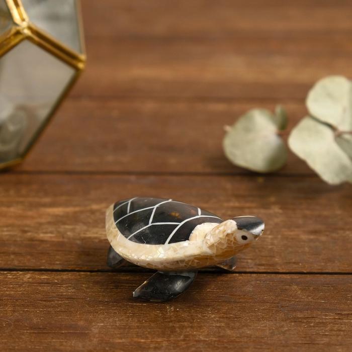 

Сувенир из ракушки "Черепашка" 8х5,5х2,5 см