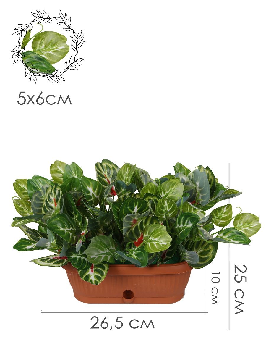 

Искусственная Фиттония в вазоне, Зеленый, Е-01-01-6