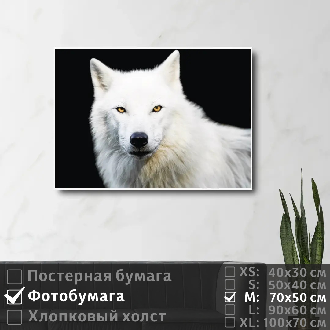 

Постер на фотобумаге ПолиЦентр Дикий зверь волк 70х50 см, ДикийЗверьВолк