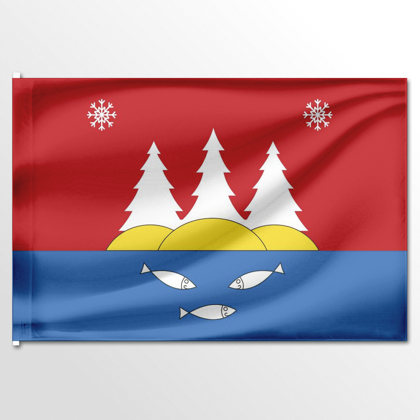 

Флаг ЦТП ФЕНИКС Токсовского городского поселения 135x90 см, 1600-135x90