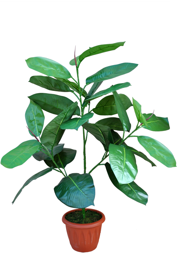 

Искусственное растение Фикус каучкообразный, Белый, А-10-01а