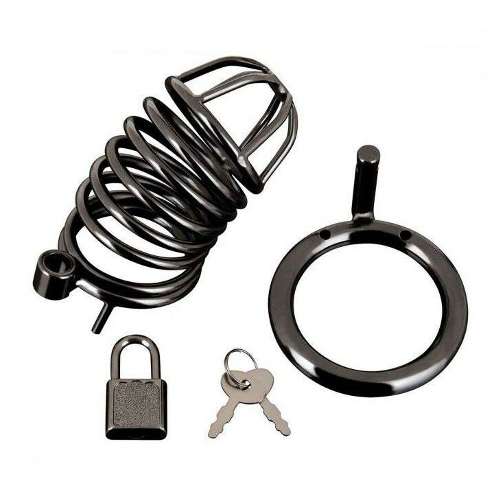 Металлическая клетка с замком Deluxe Chastity Cage черный