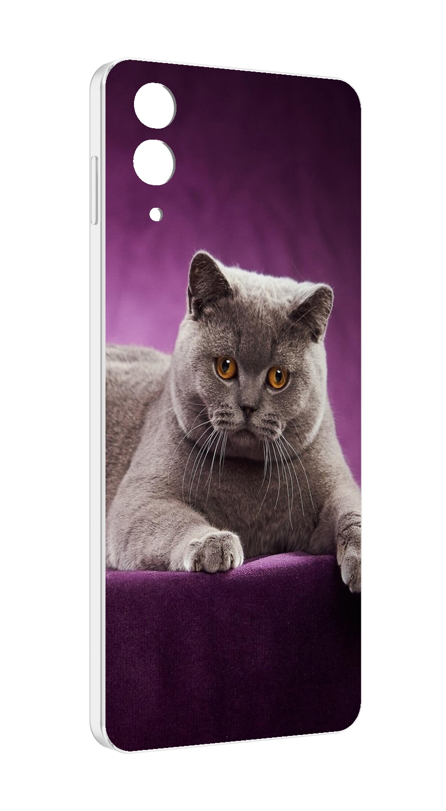 Чехол MyPads кошка британская короткая для Samsung Galaxy Z Flip 4 (SM-F721)