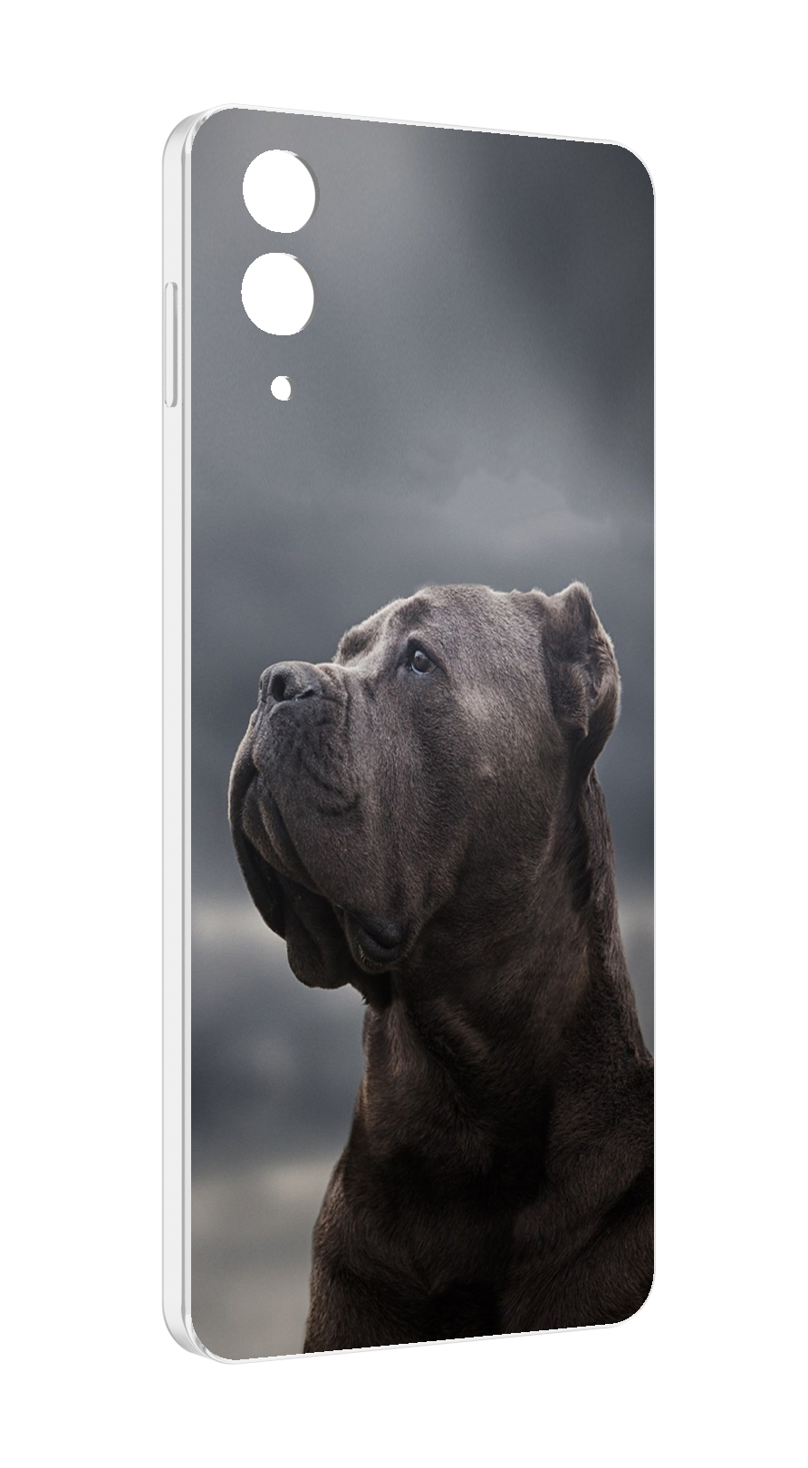 

Чехол MyPads кане корсо для Samsung Galaxy Z Flip 4 (SM-F721), Прозрачный, Tocco