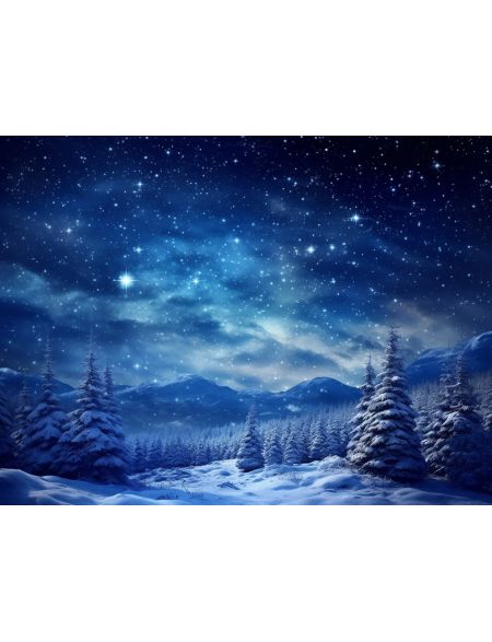 

Алмазная мозаика без подрамника Звёздная зимняя ночь, 70x50 см, 50 цветов, 67196, РА-446