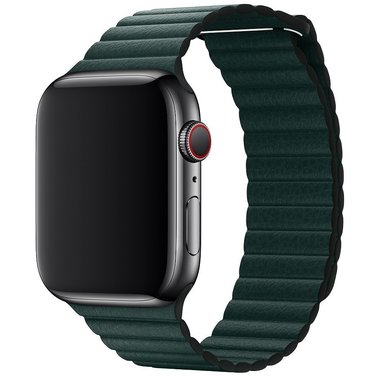

Сменный ремешок Nuobi Leather Magnetic для Apple Watch (Зеленый 42/44 mm) NBRAW42-LRM1