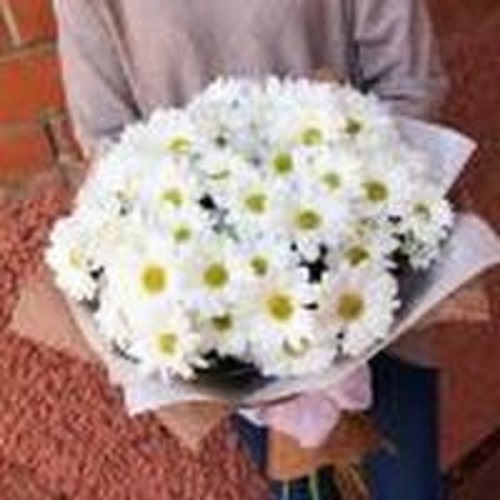 

Букет цветов хризантема 40 см белый На праздник, На праздник
