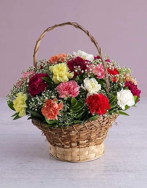 

Букет цветов гвоздика 35 см x 45 см разноцветный, Весенняя роса