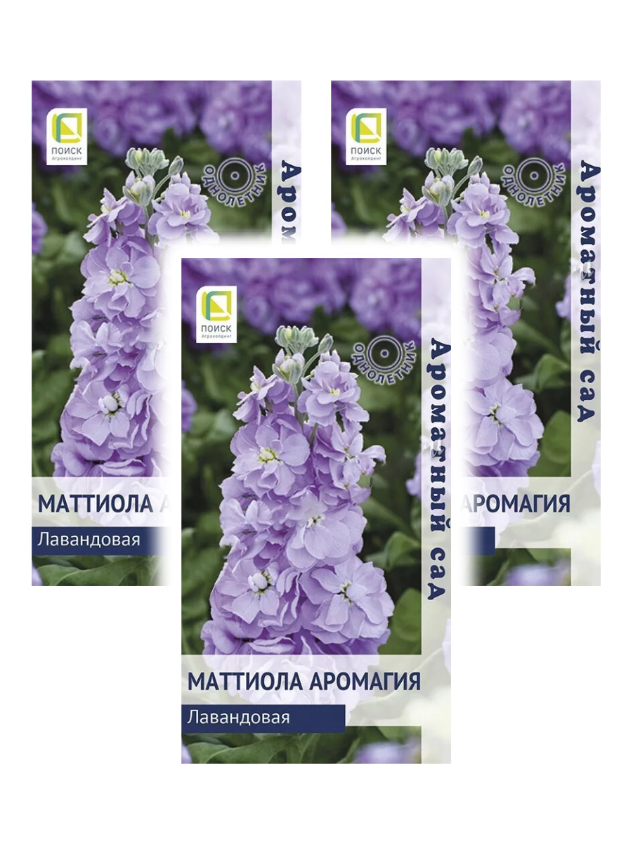 

Семена набор маттиола Поиск Аромагия лавандовая 96258 3 уп., Маттиола