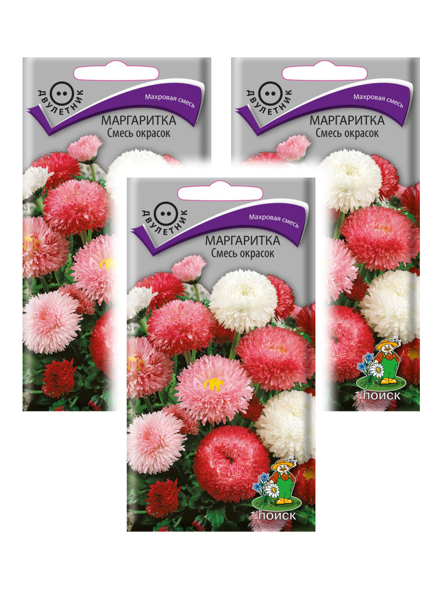 Маргаритки Семена Купить