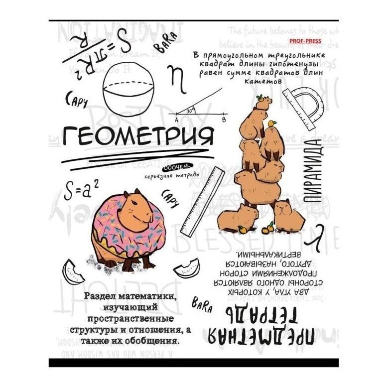 

Тетрадь предметная Prof-Press Капибара 48 листов Геометрия A5 на скрепке в клетку