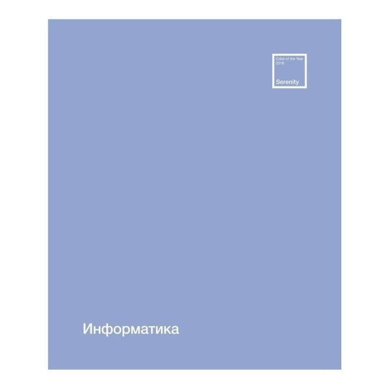 Тетрадь предметная ПЗБМ Софт-Тач 48 листов Информатика A5 на скрепке в клетку