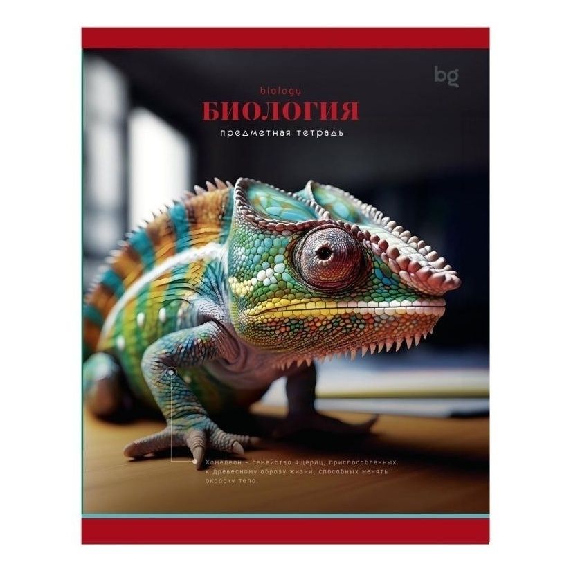 

Тетрадь BG Фотосфера 48 листов Биология в клетку