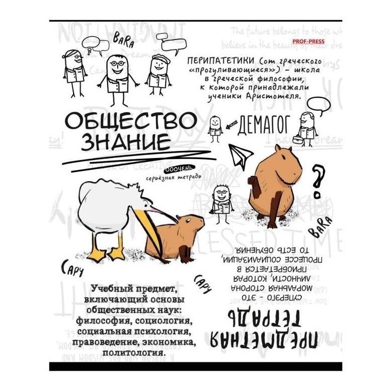 

Тетрадь Prof-Press Капибара 48 листов Обществознание в клетку