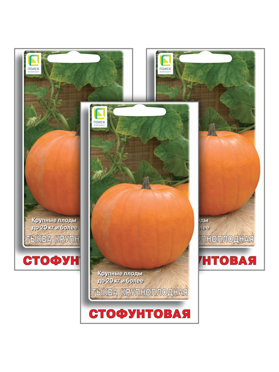 

Семена тыква Поиск Стофунтовая 96844 3 уп., Тыква
