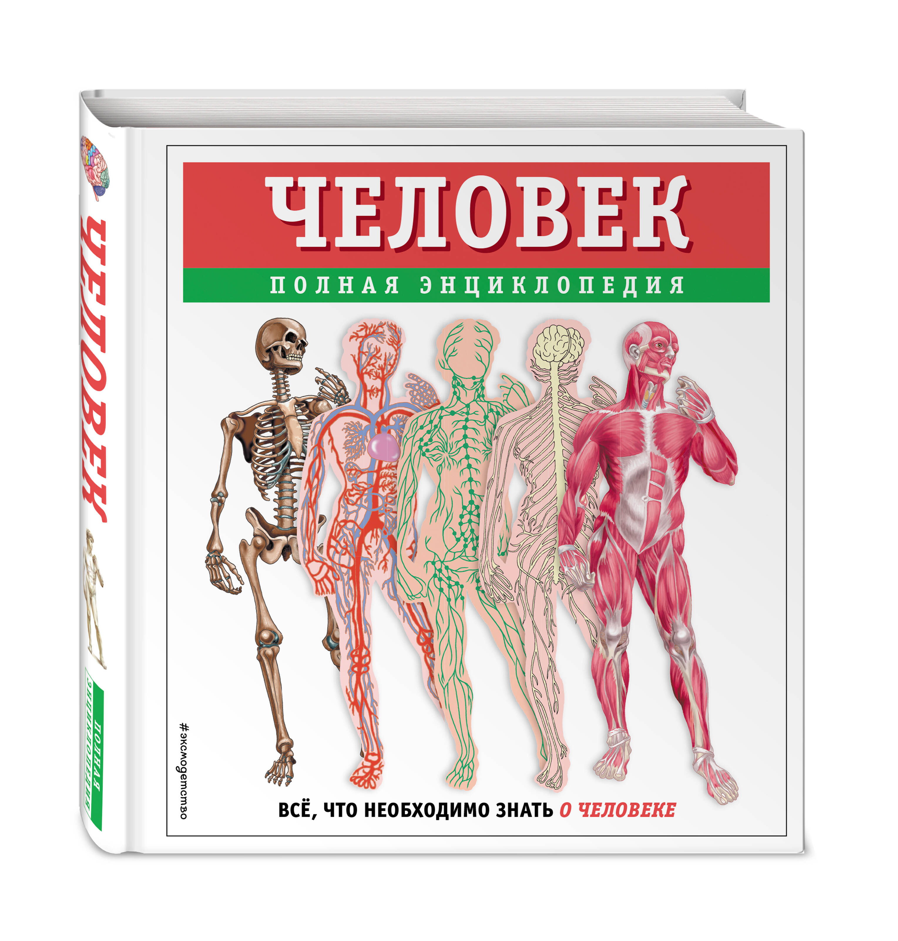 

Человек Полная энциклопедия