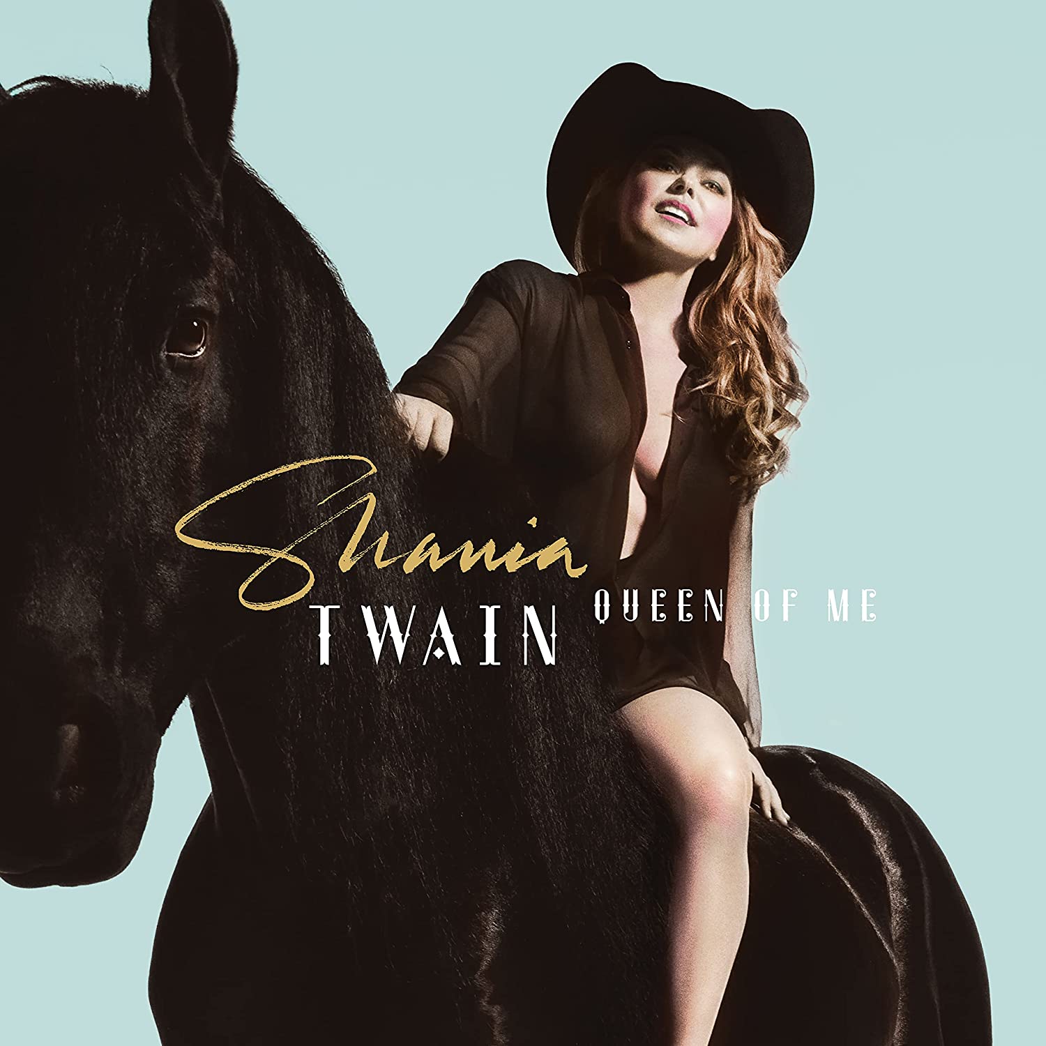 Shania Twain Queen Of Me (CD)