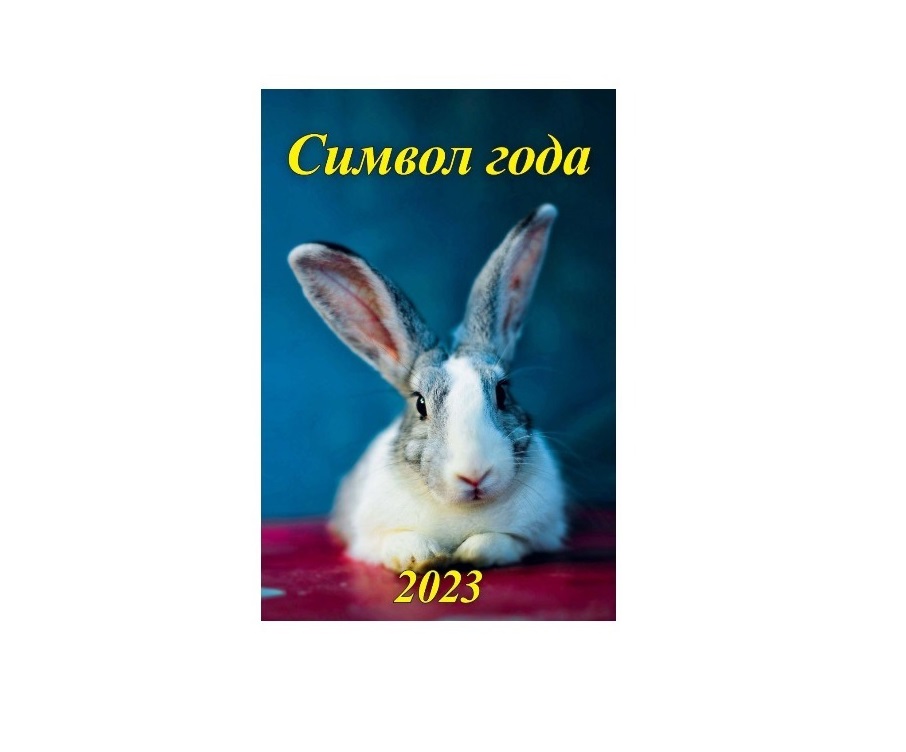 

Кал-рь настенный на спирали 340х490мм Символ года