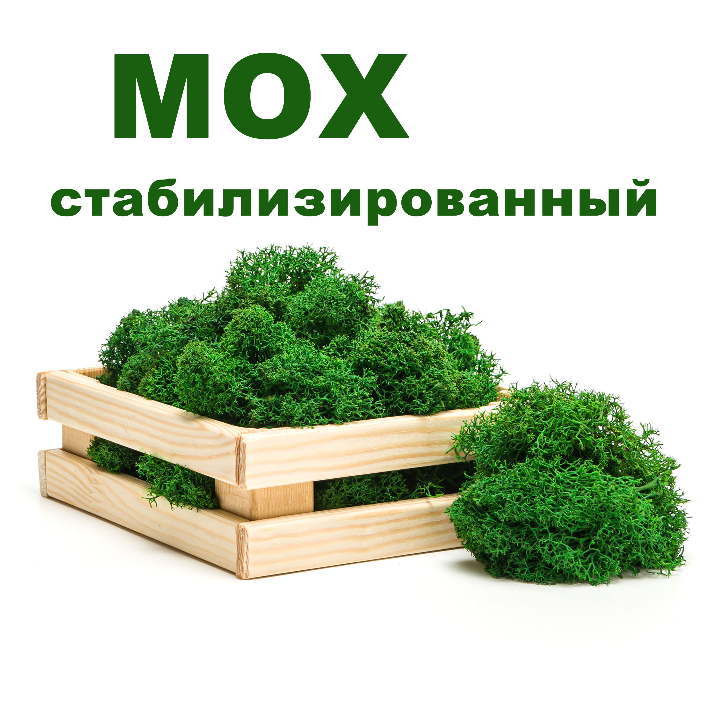 

Мох для декора Вежливый Кот мох, мох