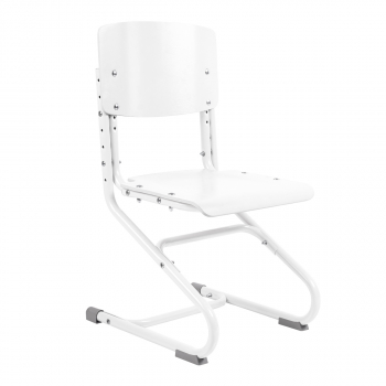 фото Растущий стул anatomica ergo chair белый/белый