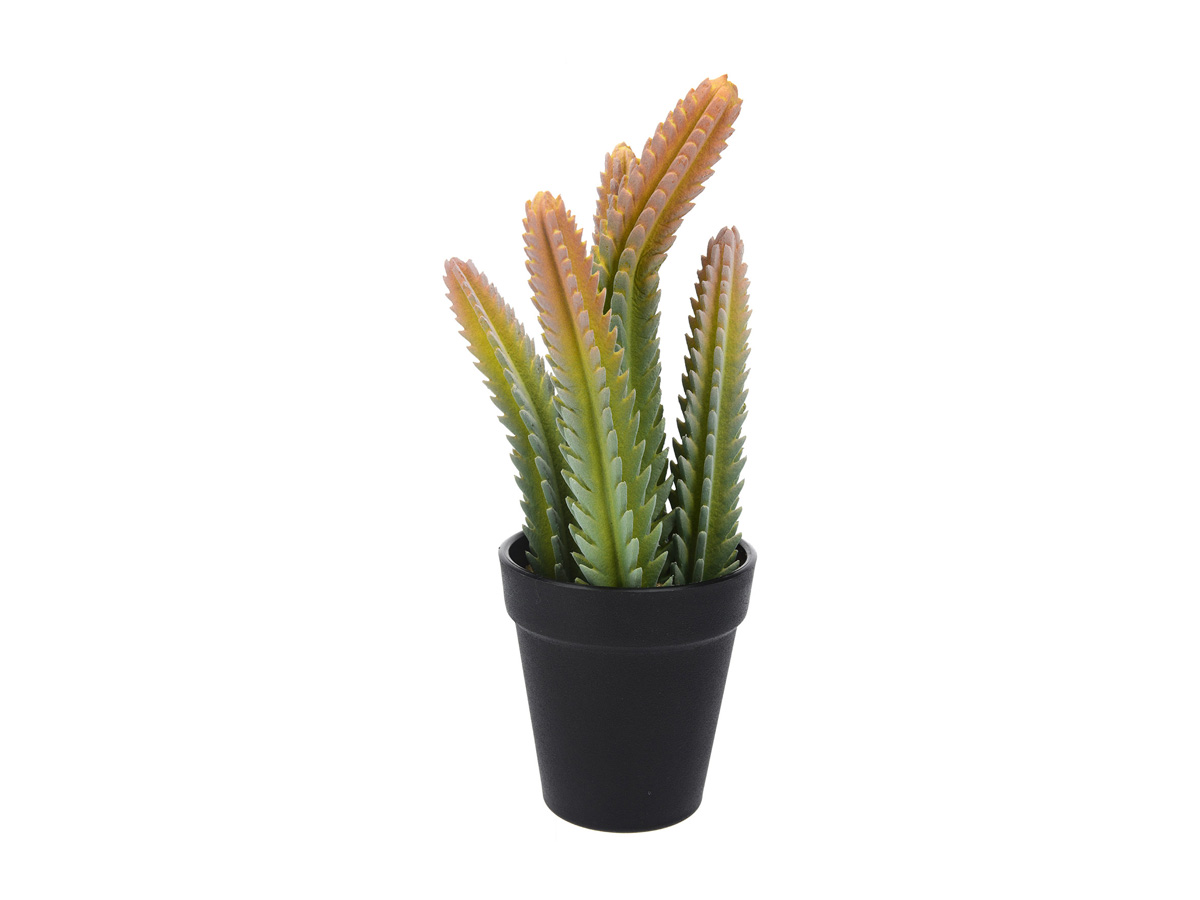 

Растение искуственное Cactus ОГОГО Обстановочка!, Растение искуственное Cactus