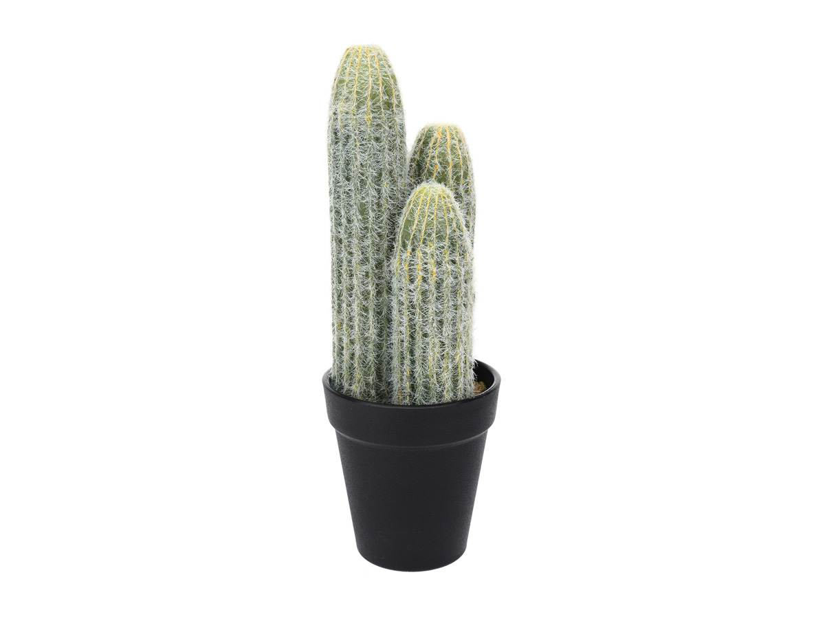 

Растение искуственное Cactus ОГОГО Обстановочка!, Растение искуственное Cactus