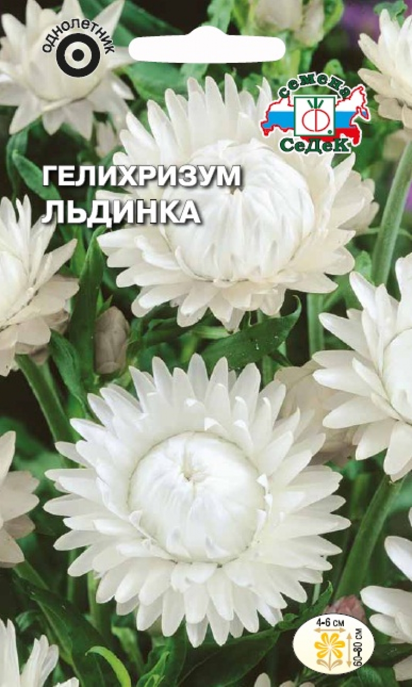 

Семена гелихризум СеДеК Льдинка 1 уп.