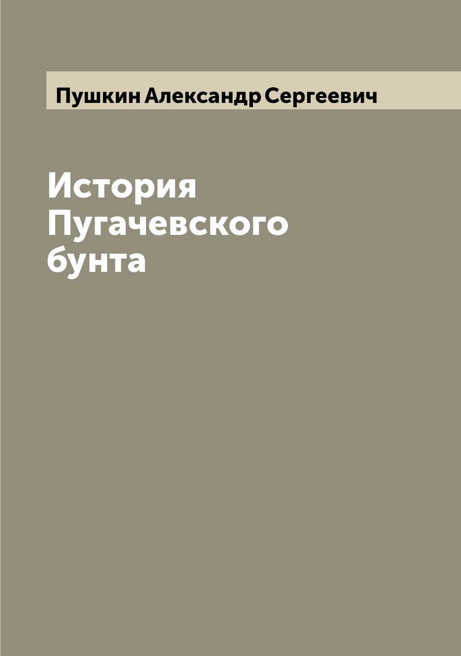 

История Пугачевского бунта