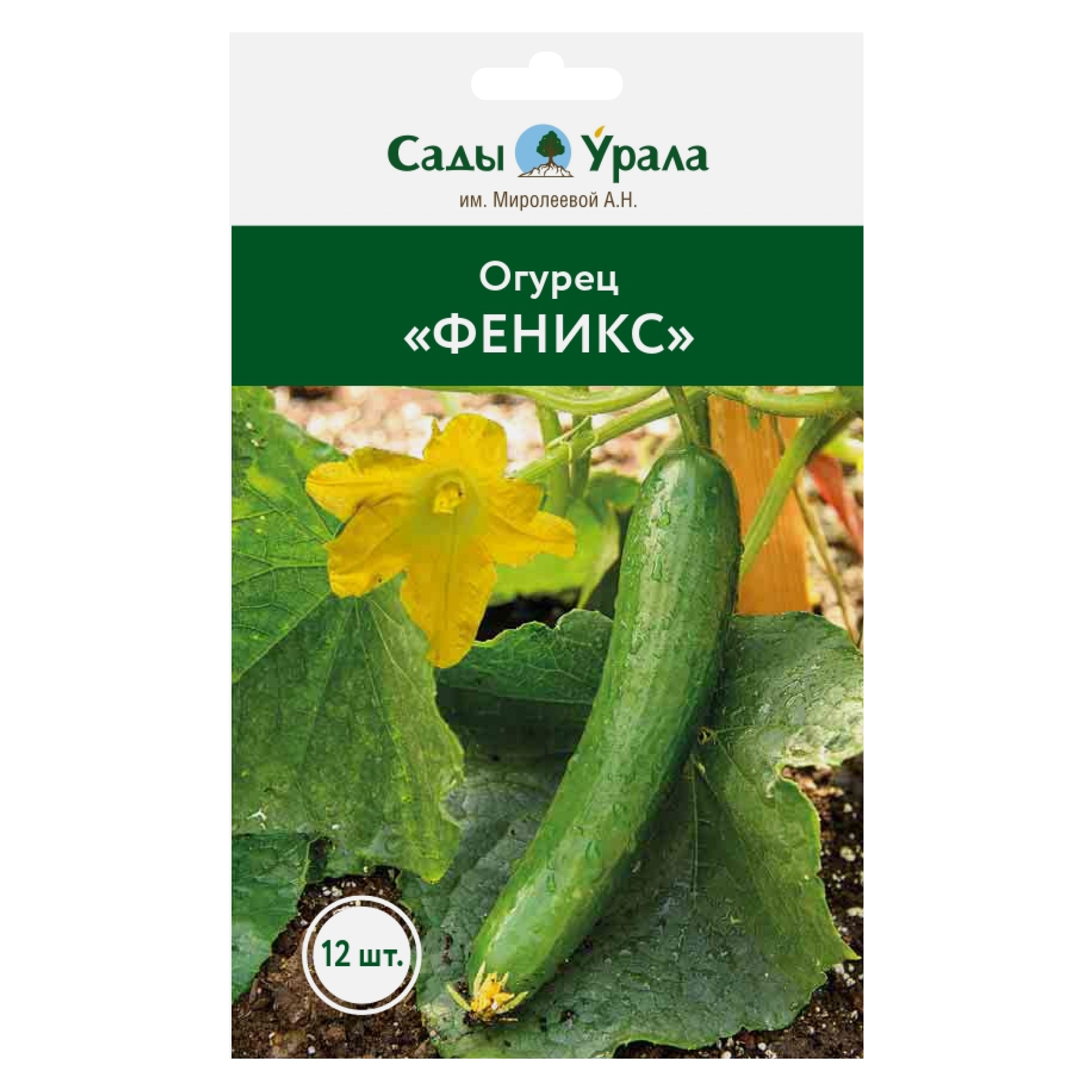 

Семена овощей Огурец «Феникс», Сады Урала, 12 штук, Огурец «Феникс»
