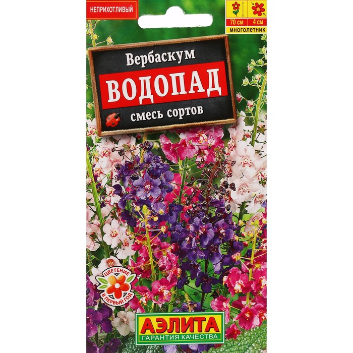 

Семена цветов Вербаскум "Водопад", 0,1 г