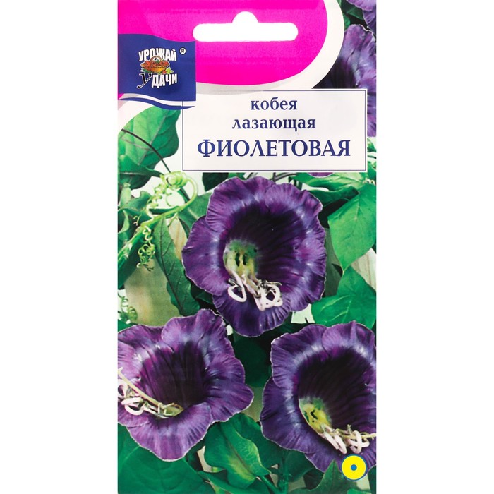 

Семена цветов Кобея "Фиолетовая", 0,3 г