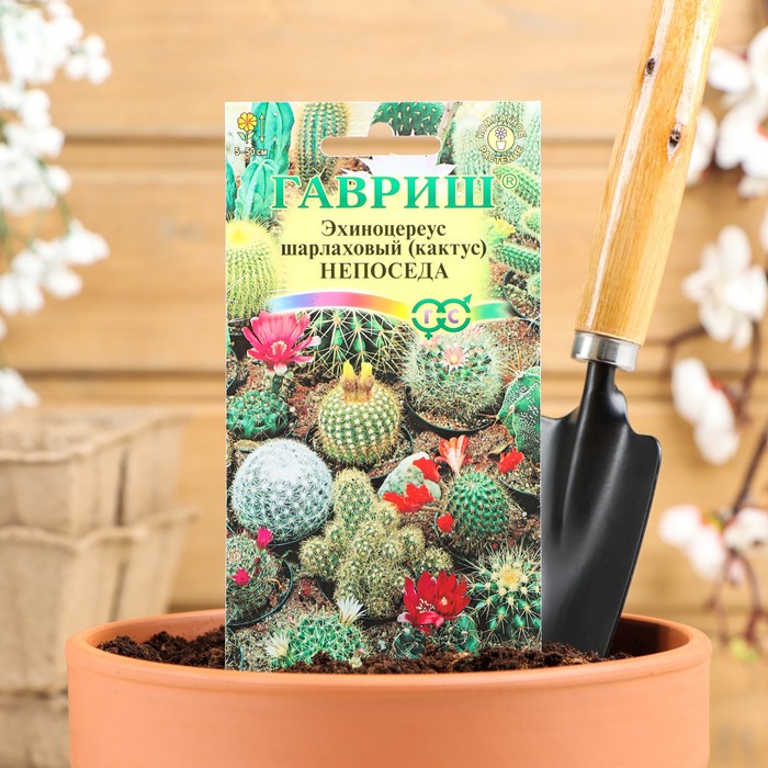 

Семена комнатных цветов "Гавриш" Эхиноцереус (кактус) Непоседа, смесь,Мн, 0,05 г