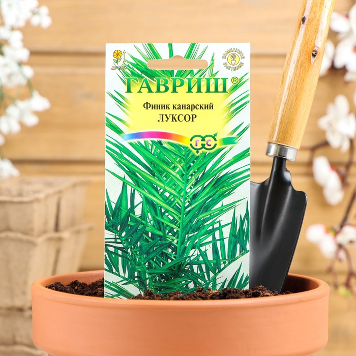 

Семена комнатных цветов "Гавриш" Финик канарский "Луксор", Мн., 2 шт.