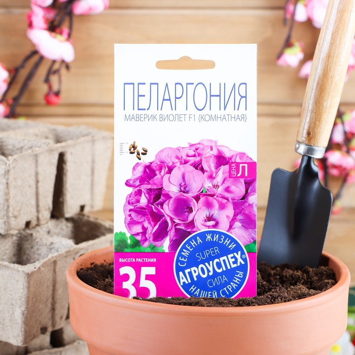

Семена комнатных цветов Пеларгония "Агроуспех", "Виолет", 4 шт.