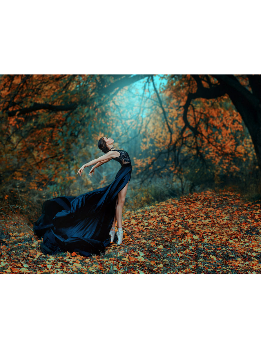 фото Постер drabs a3 красивая женщина в средневековом черном шелковом платье танцует