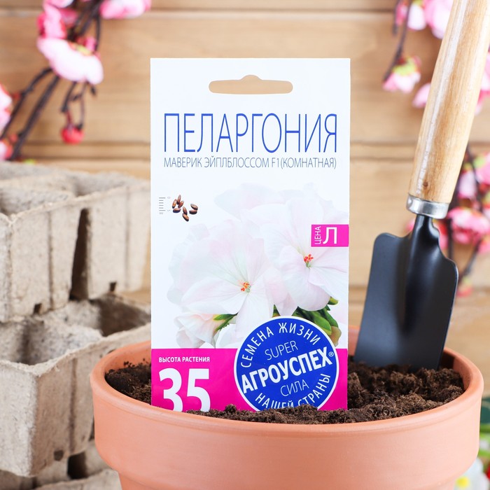 

Семена комнатных цветов Пеларгония "Эйплблоссом", 4 шт.