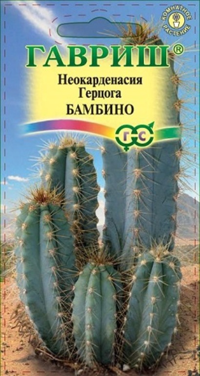 

Семена кактус Гавриш Бамбино 1 уп.