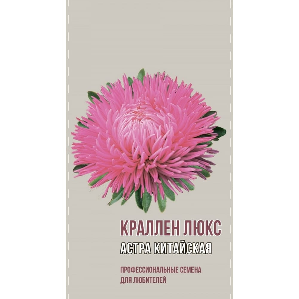 

Семена астра Agroni Краллен Люкс 1 уп.