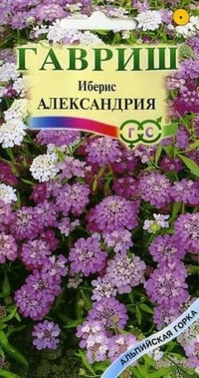 

Семена иберис Гавриш Александрия 10000630 1 уп.