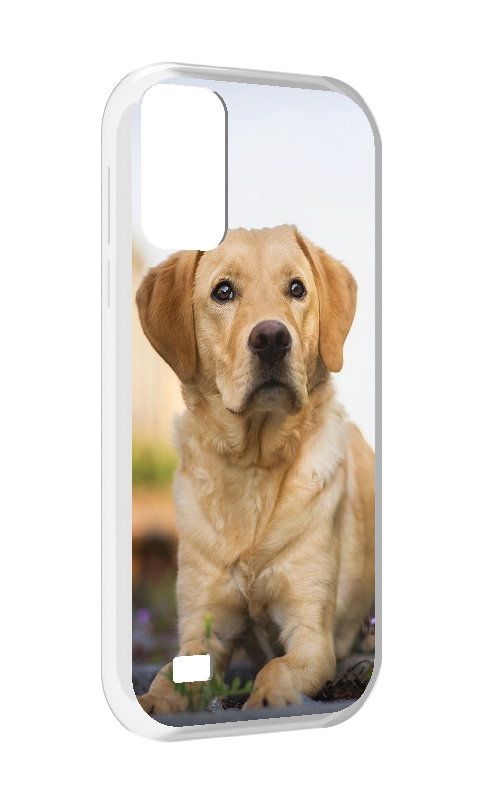 

Чехол MyPads лабрадор ретривер для Oukitel C31, Прозрачный, Tocco