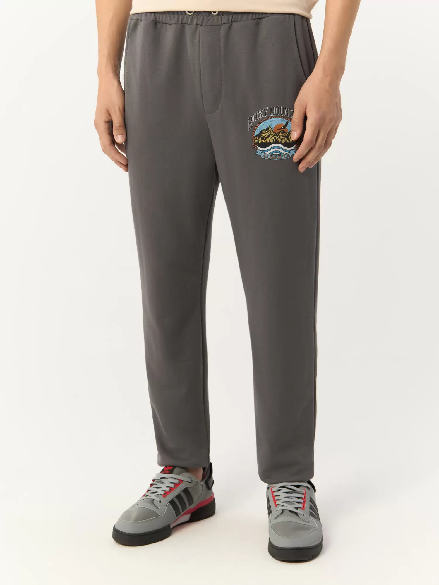 

Спортивные брюки мужские Trendyol Man TMNAW22EA0528 серые M, Серый, TMNAW22EA0528