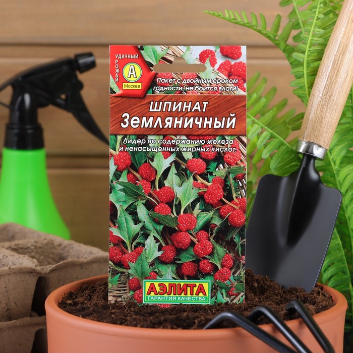 

Семена шпинат Земляничный Аэлита Р00007766